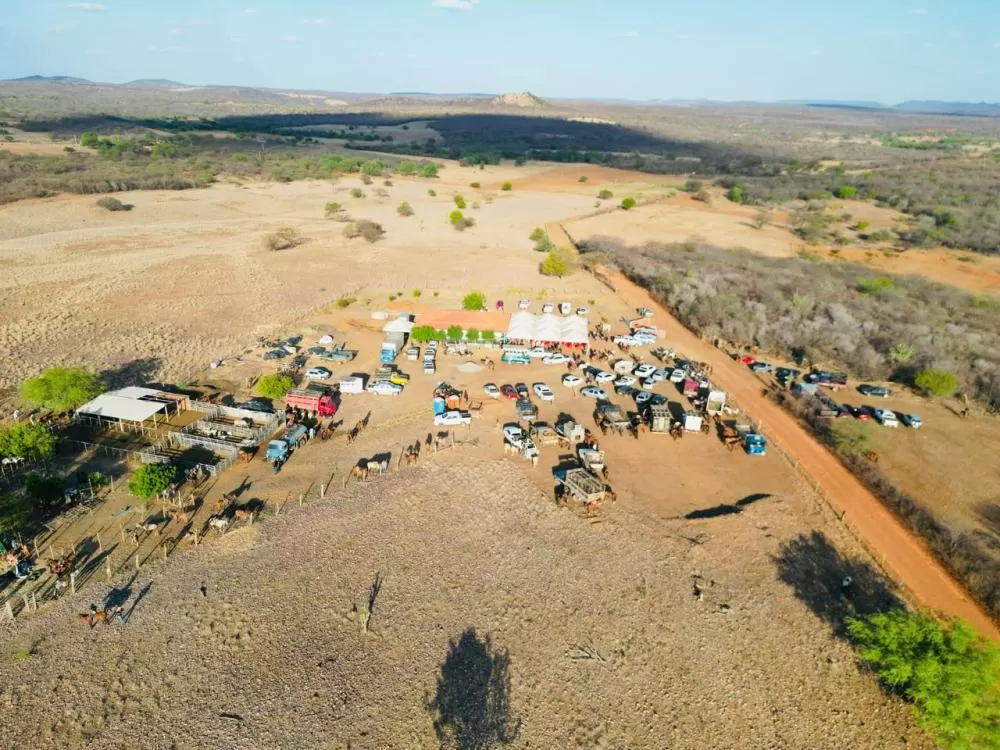 Imgs da organização