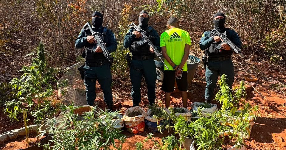 PM descobre plantação de maconha e apreende armas em São Raimundo Nonato