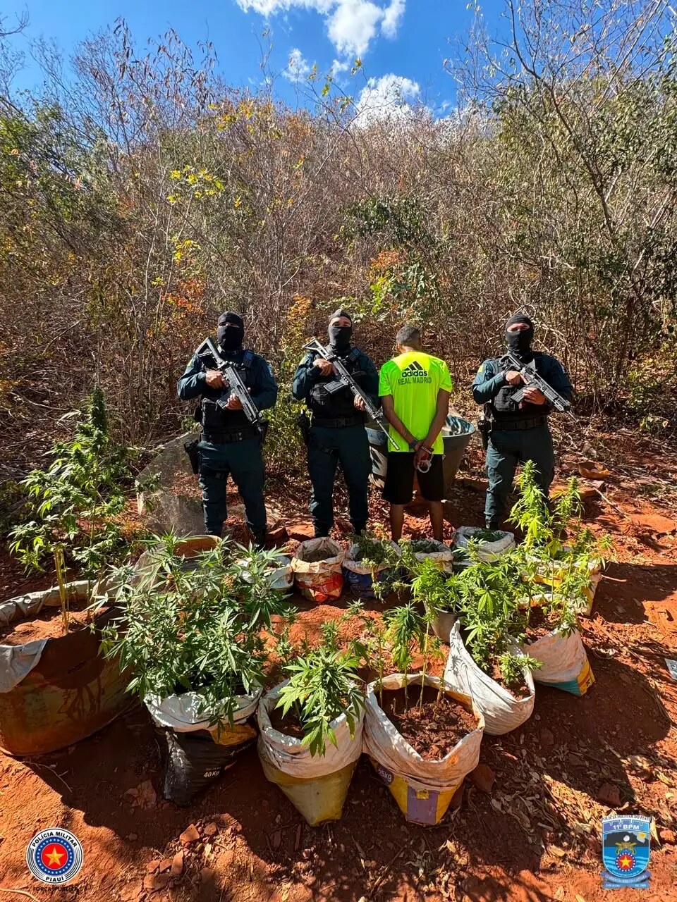 Armas, mudas de maconha e sementes foram apreendidas pela For&ccedil;a T&aacute;tica