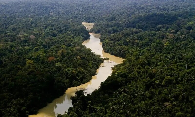 Piauí reduz desmatamento no Cerrado em 51%, mas é o 3º com mais alertas