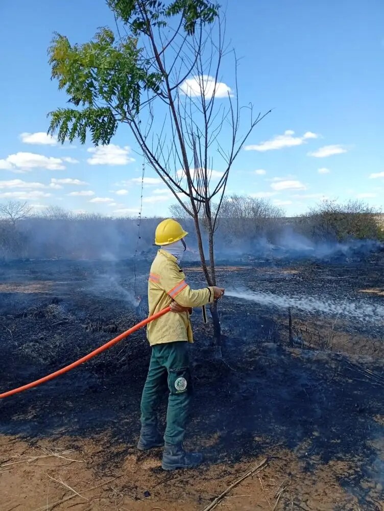 Focos de incêndio ativos mobilizam equipes de monitoramento no estado