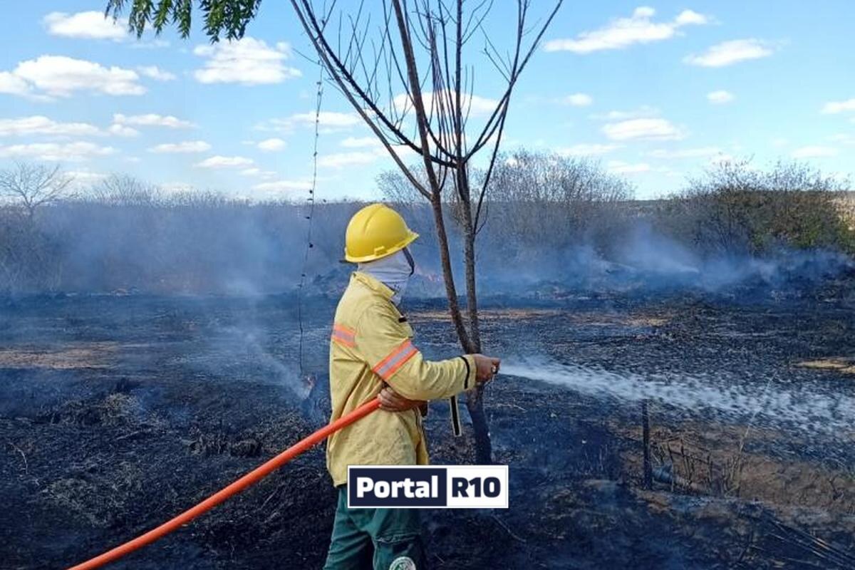 Incêndio florestal consome vegetação nativa no interior do Piauí — Foto: Divulgação/Semarh-PI