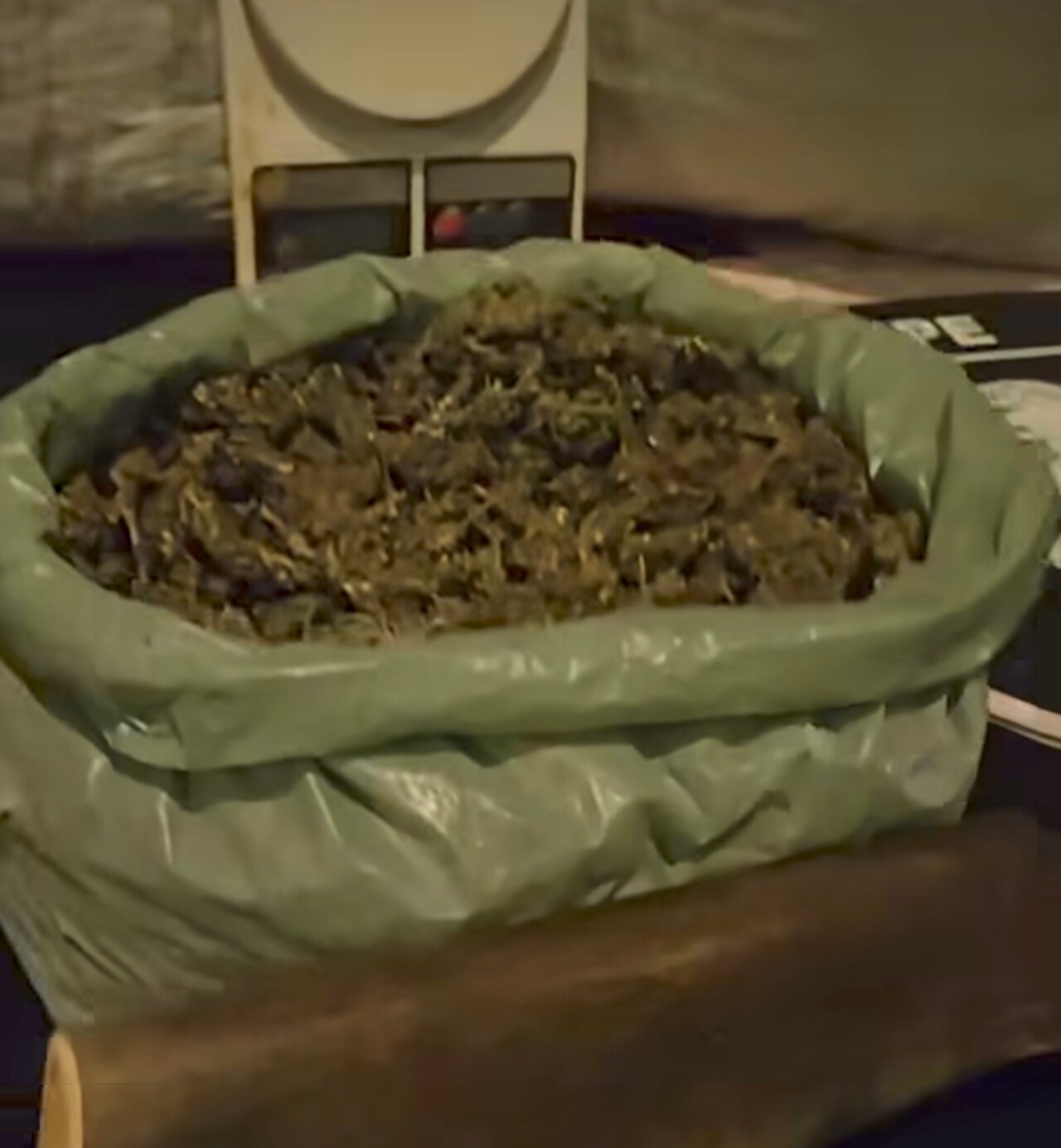 PM apreende quase 14 quilos de maconha na zona rural de Santa Filomena