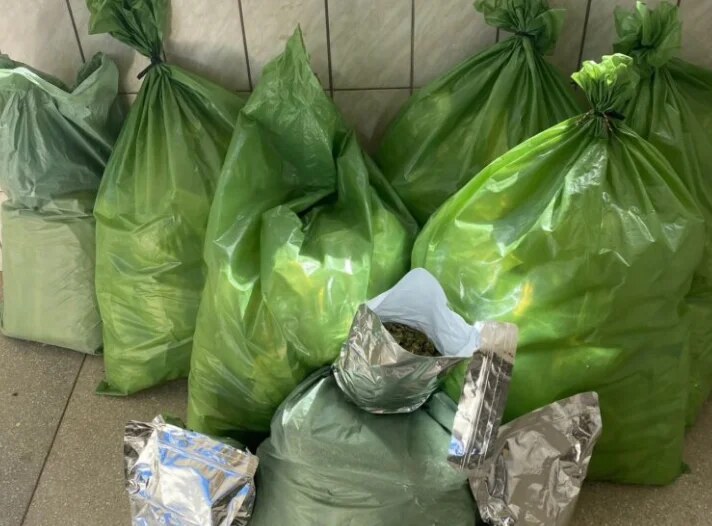 PF e Cipe-Caatinga apreendem 56 kg de maconha e prendem quatro em Abaré