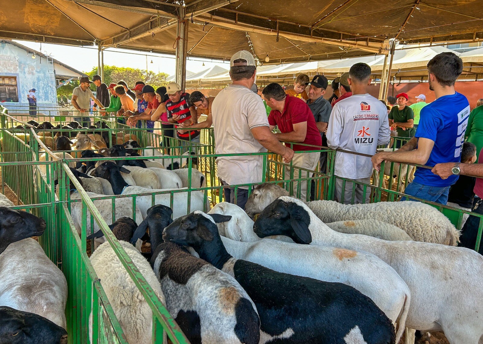 Acauã abre inscrições para curso técnico gratuito em Agropecuária