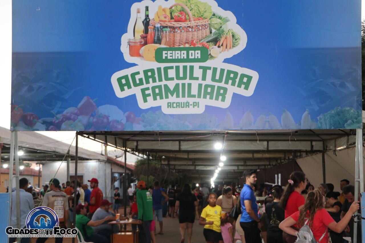 Feira reuniu produtores e movimentou o comércio local em Acauã — Foto: Divulgação