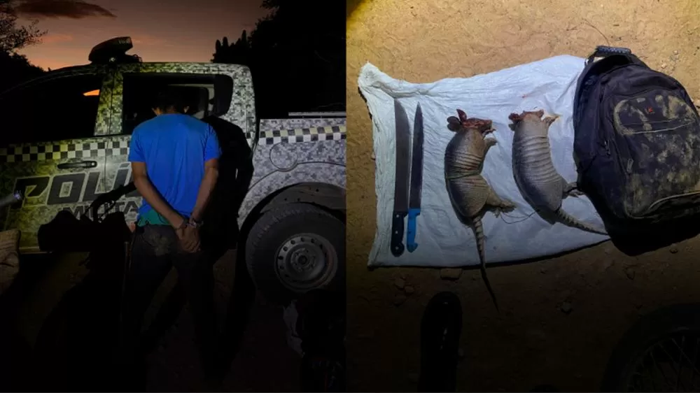 Reprodução Ascom PMPI