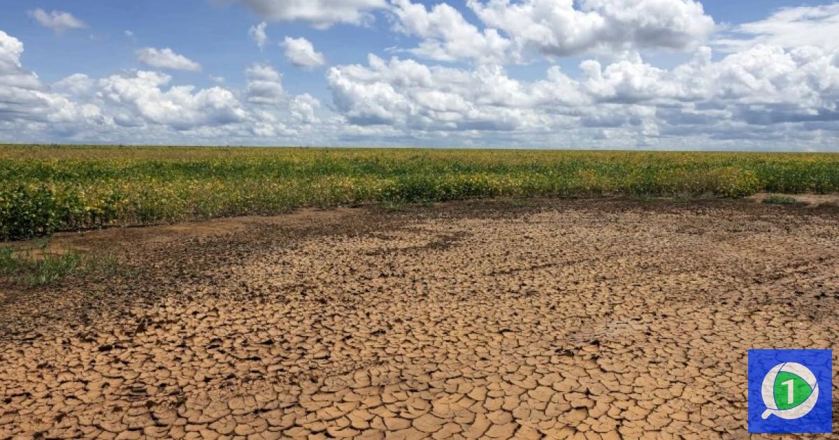 Piauí enfrenta desafios com a escassez hídrica prolongada no semiárido — Foto: Divulgação