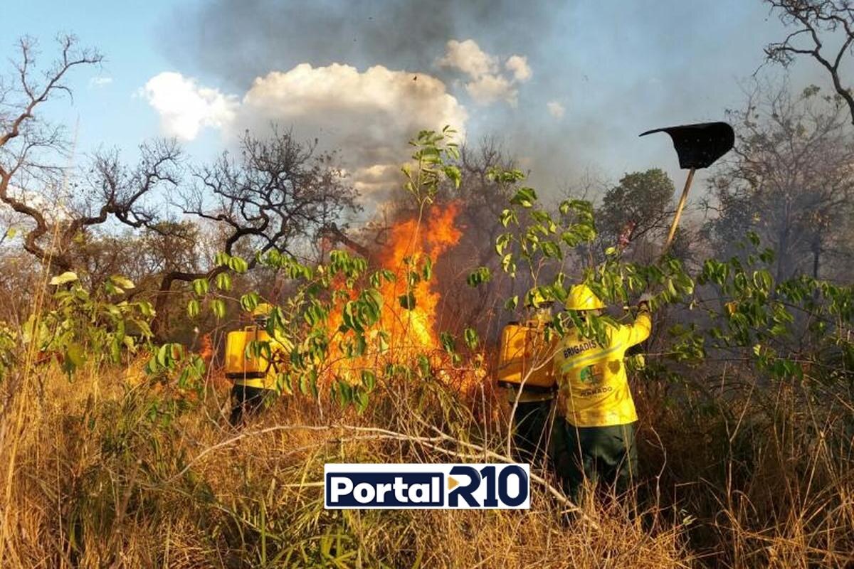 Baixa umidade e altas temperaturas elevam o risco de queimadas no Piauí — Foto: Divulgação