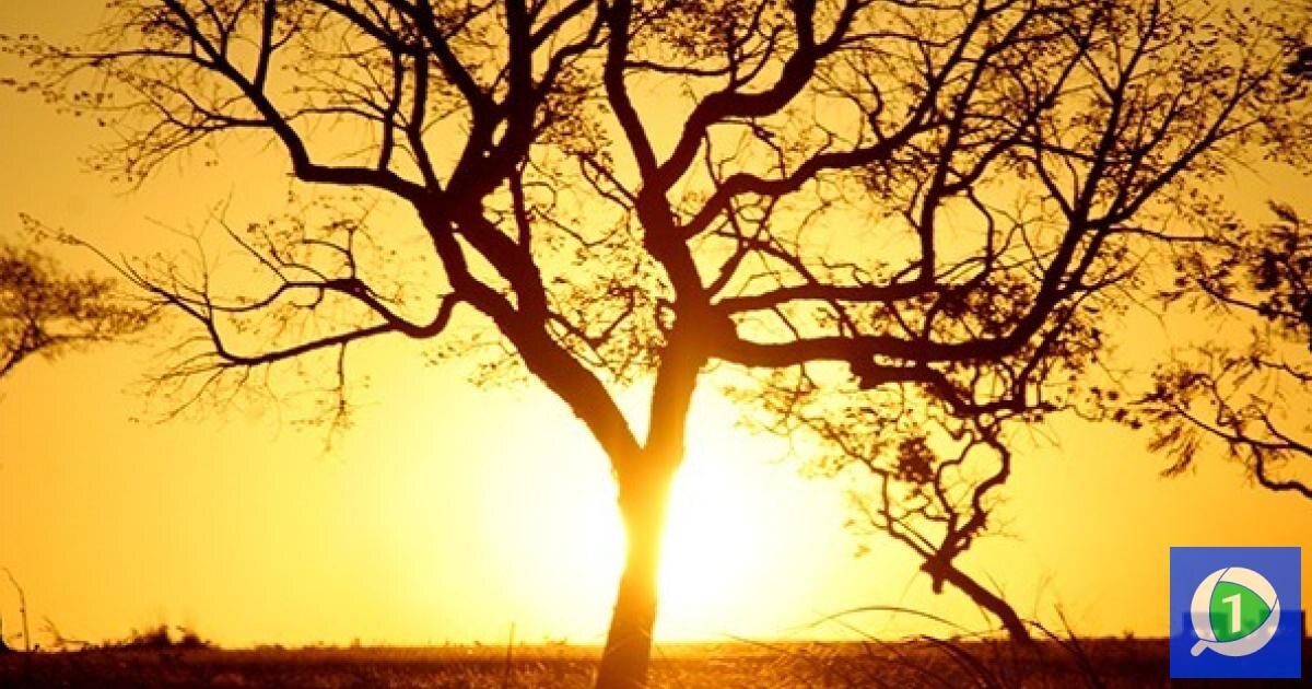 Piauí registra calor extremo acima de 40°C e umidade crítica neste fim de semana
