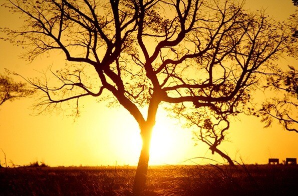 Piauí terá fim de semana de calor intenso e temperaturas próximas dos 40°C