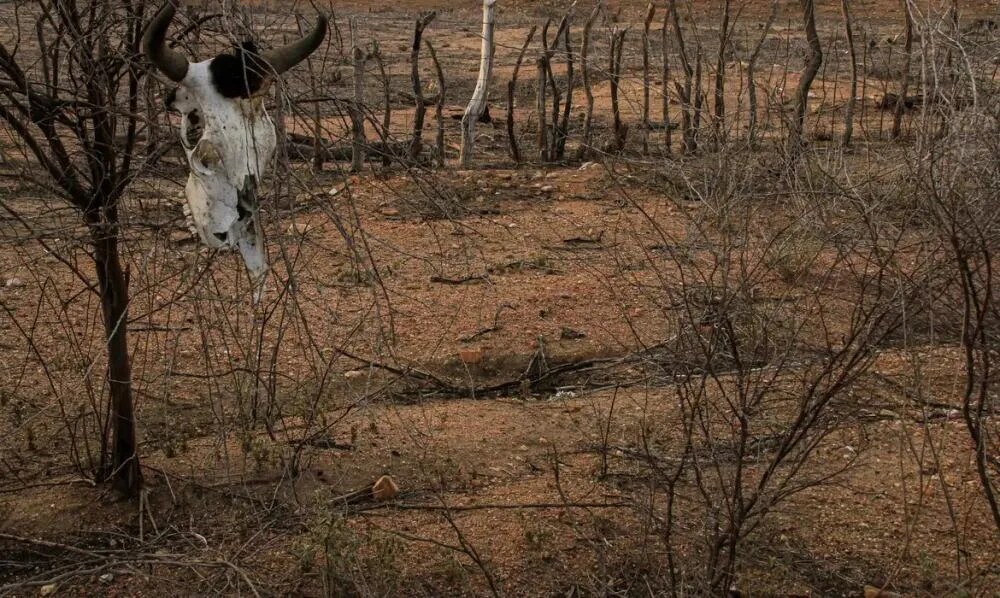 Clima seco acende alerta para cuidados com a saúde no semiárido