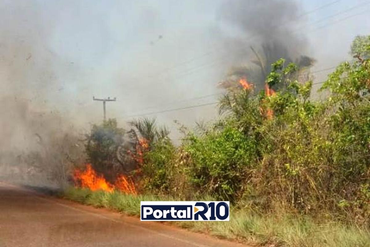 Semarh proíbe uso de fogo em 12 municípios do Piauí devido ao risco de incêndios