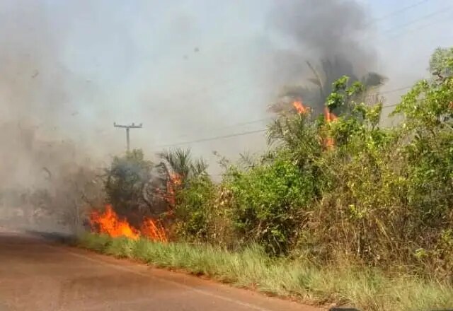 Registros de queimadas preocupam autoridades ambientais no Piauí
