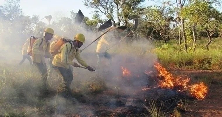 Registros de queimadas preocupam autoridades durante período de seca no Piauí — Foto: Divulgação