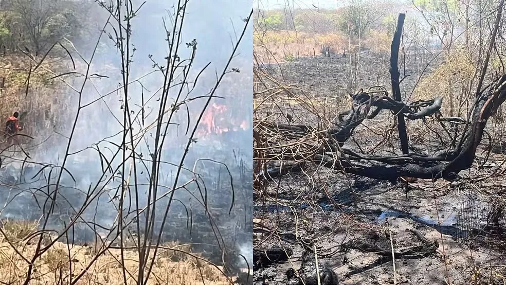 Equipes do Corpo de Bombeiros atuam no controle de chamas em vegetação no interior do estado
