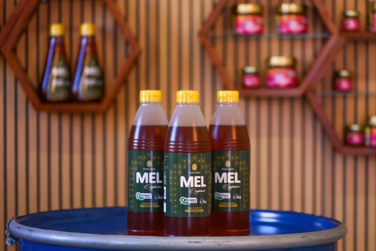 Investimentos estatais buscam estruturar casas de mel e capacitar produtores locais